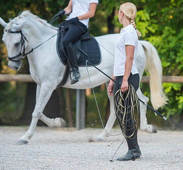 Cours d'équitation Castelnaudary : de l'initiation aux concours aux Écuries du Garrigal