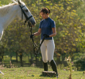 Stage Cheval Castelnaudary : une expérience équestre inoubliable