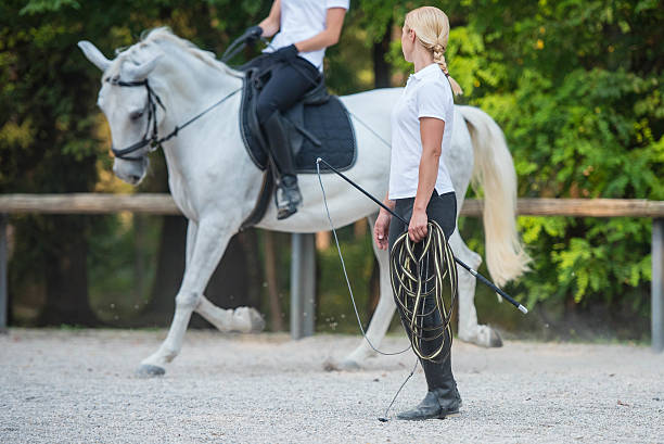 Cours d'équitation Castelnaudary : de l'initiation aux concours aux Écuries du Garrigal