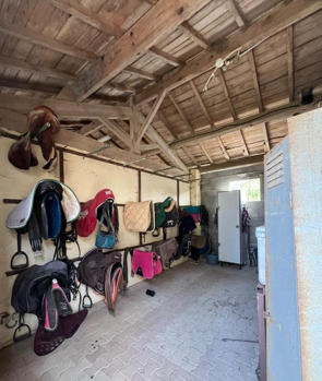 Le Garrigal, cours d'équitation à Sainte-Camelle